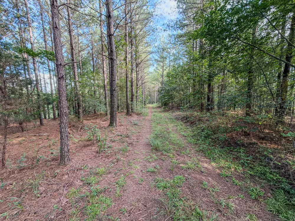 164 Center Ridge Dr Hohenwald, TN 38462