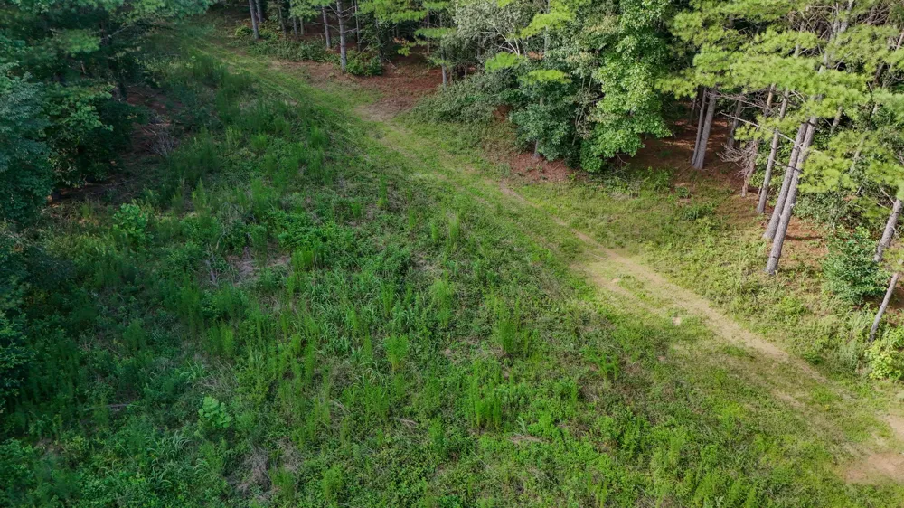 164 Center Ridge Dr Hohenwald, TN 38462