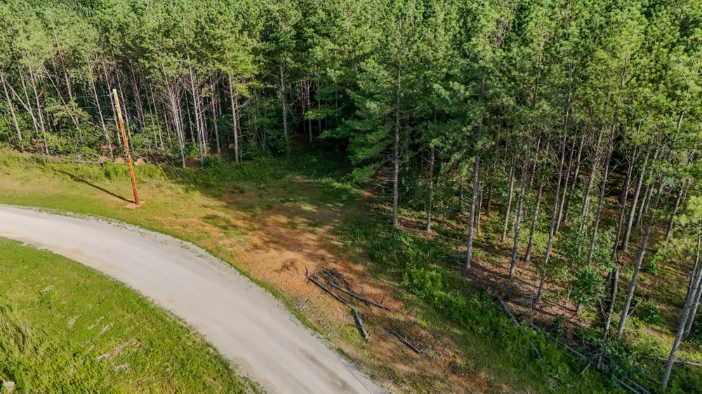 164 Center Ridge Dr Hohenwald, TN 38462