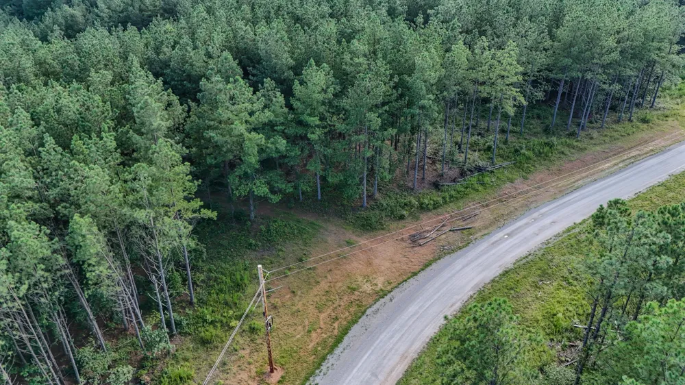164 Center Ridge Dr Hohenwald, TN 38462