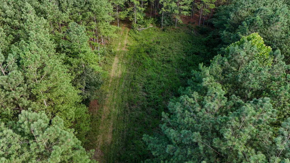 164 Center Ridge Dr Hohenwald, TN 38462