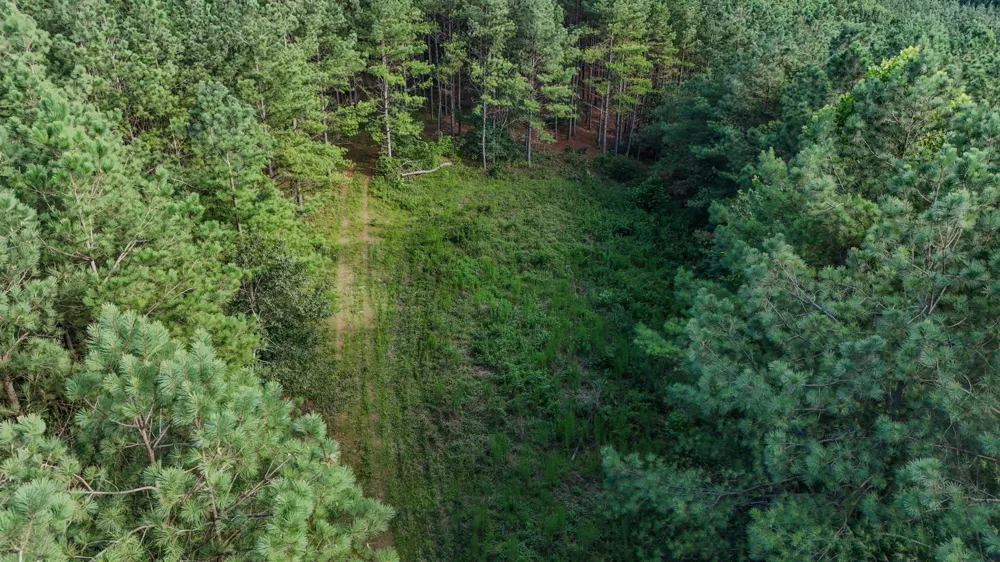 164 Center Ridge Dr Hohenwald, TN 38462