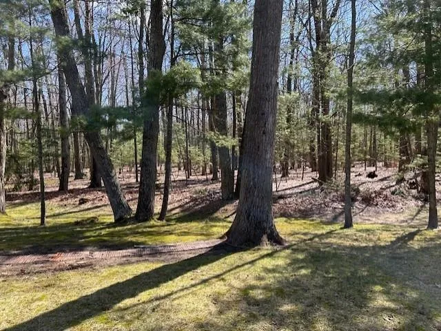 7468 E Cedar Lake Drive Oscoda Charter Township, MI 48738