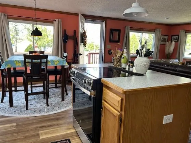 7468 E Cedar Lake Drive Oscoda Charter Township, MI 48738