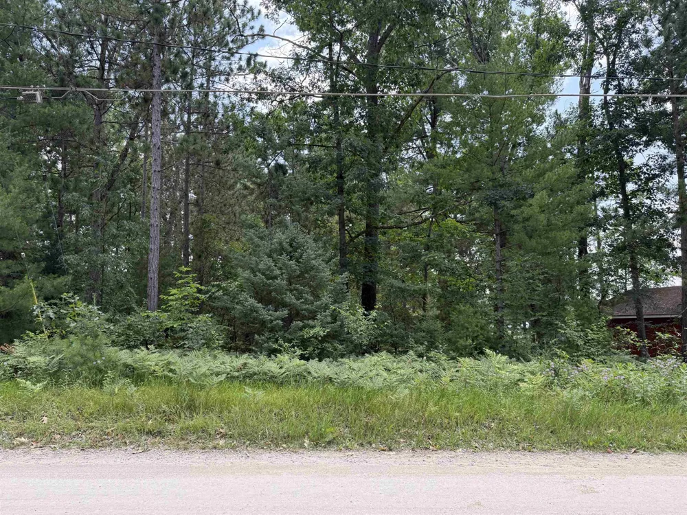 Nicole Drive Plainfield Township, MI 48761