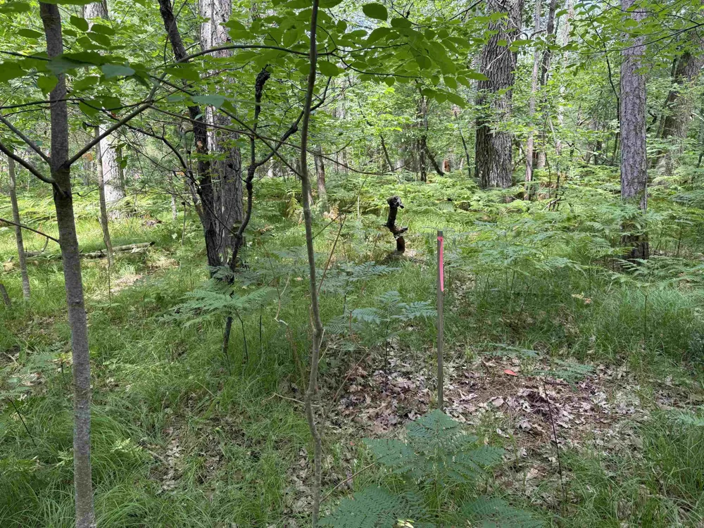 Nicole Drive Plainfield Township, MI 48761