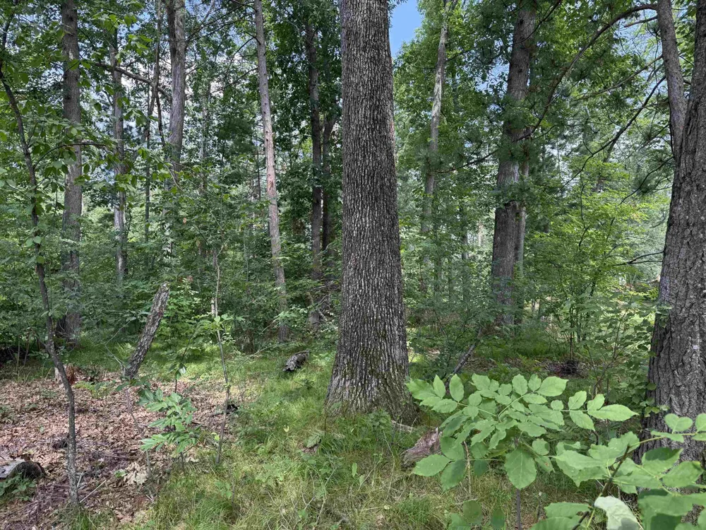 Nicole Drive Plainfield Township, MI 48761