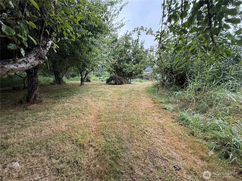 664 State Route 409 Cathlamet, WA 98612