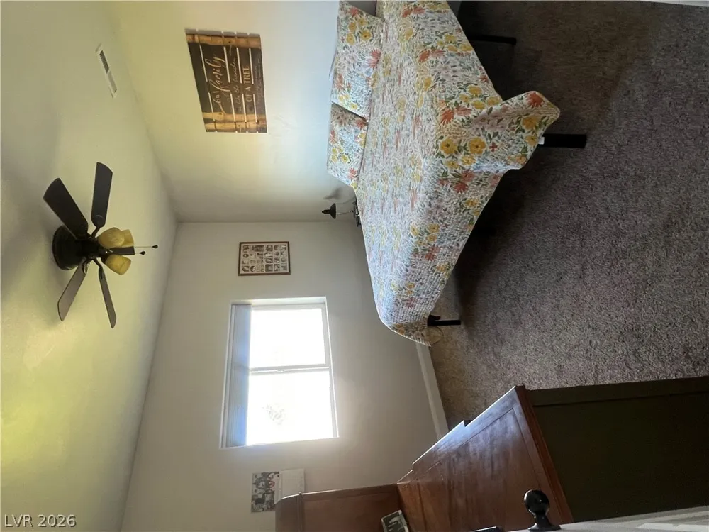 605 Cerina Court Pioche, NV 89043