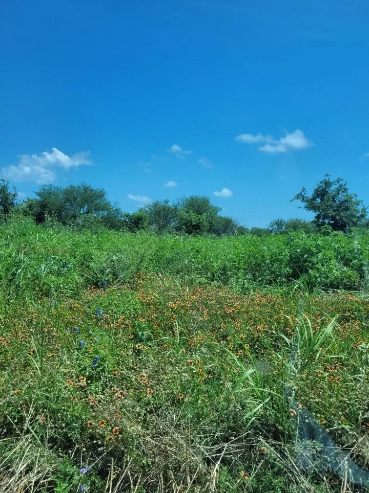 Emil Blank Road Yoakum, TX 77995