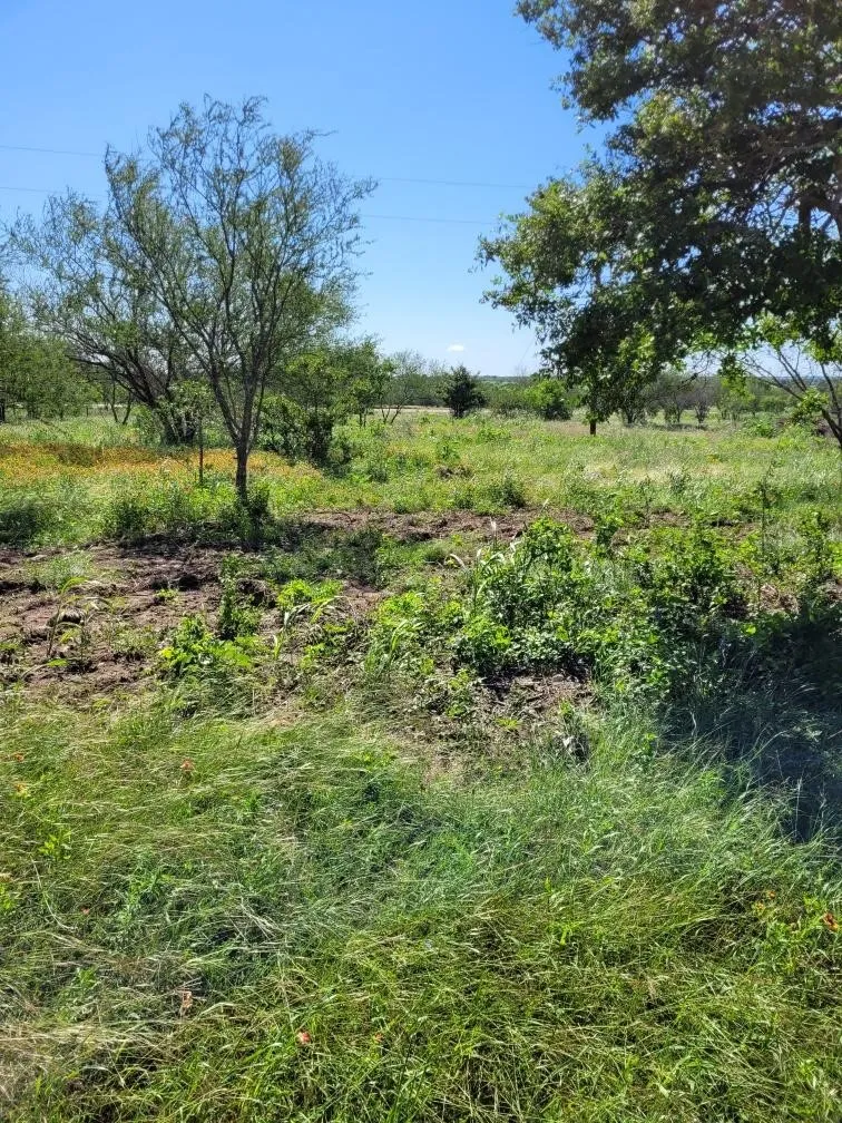 Emil Blank Road Yoakum, TX 77995