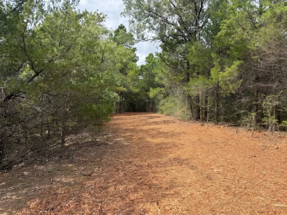 PR 3428 (2.528 Acres in Lin Luce Ranches #2) Milano, TX 76556