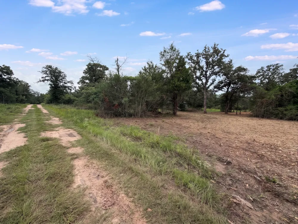 PR 3428 (2.528 Acres in Lin Luce Ranches #2) Milano, TX 76556