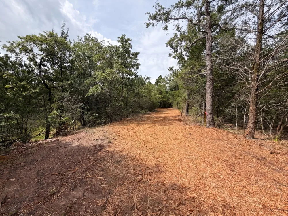 PR 3428 (2.528 Acres in Lin Luce Ranches #2) Milano, TX 76556