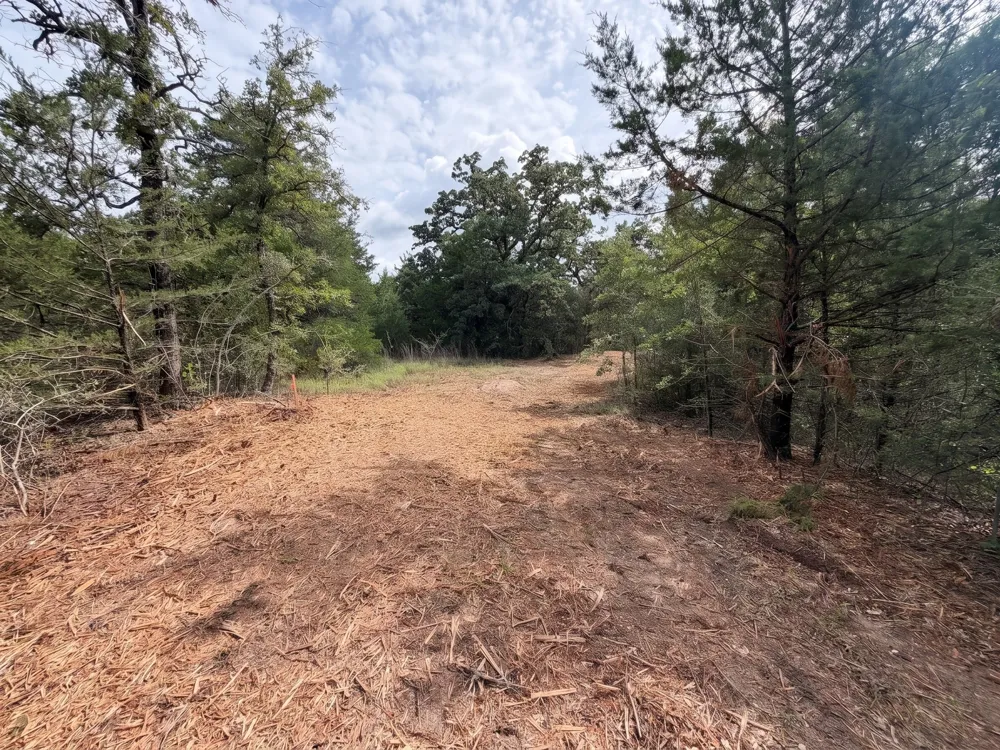 PR 3428 (2.528 Acres in Lin Luce Ranches #2) Milano, TX 76556
