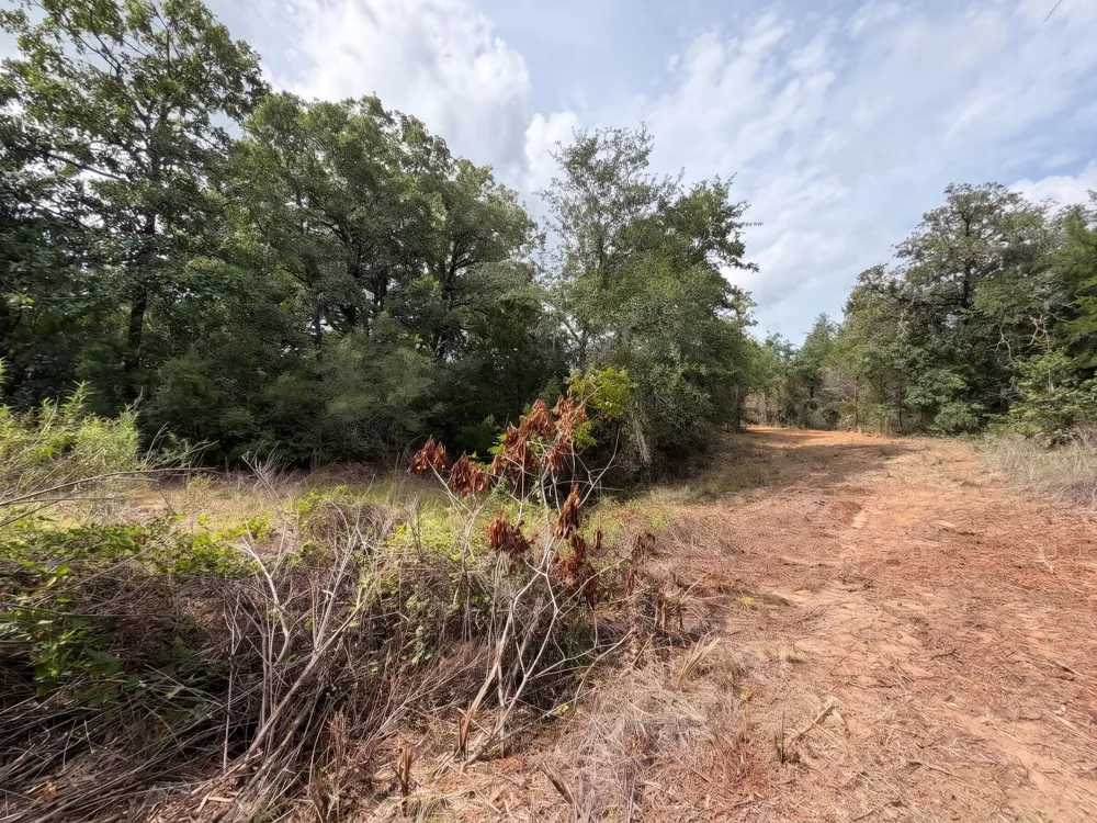 PR 3428 (2.528 Acres in Lin Luce Ranches #2) Milano, TX 76556