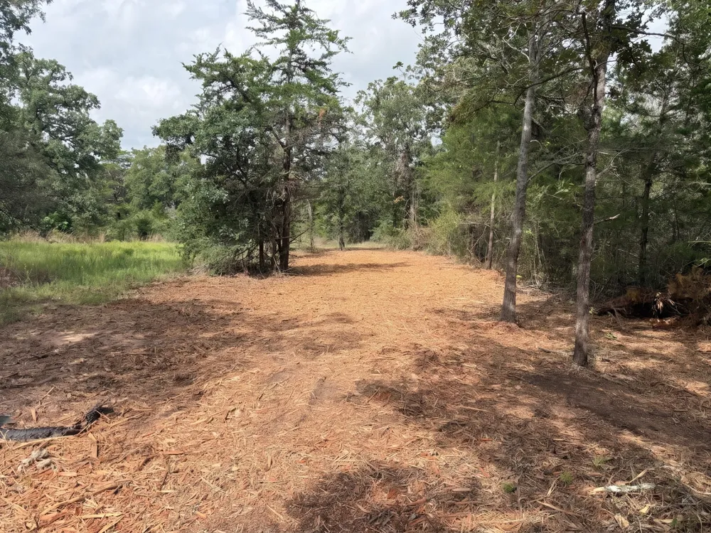PR 3428 (2.528 Acres in Lin Luce Ranches #2) Milano, TX 76556