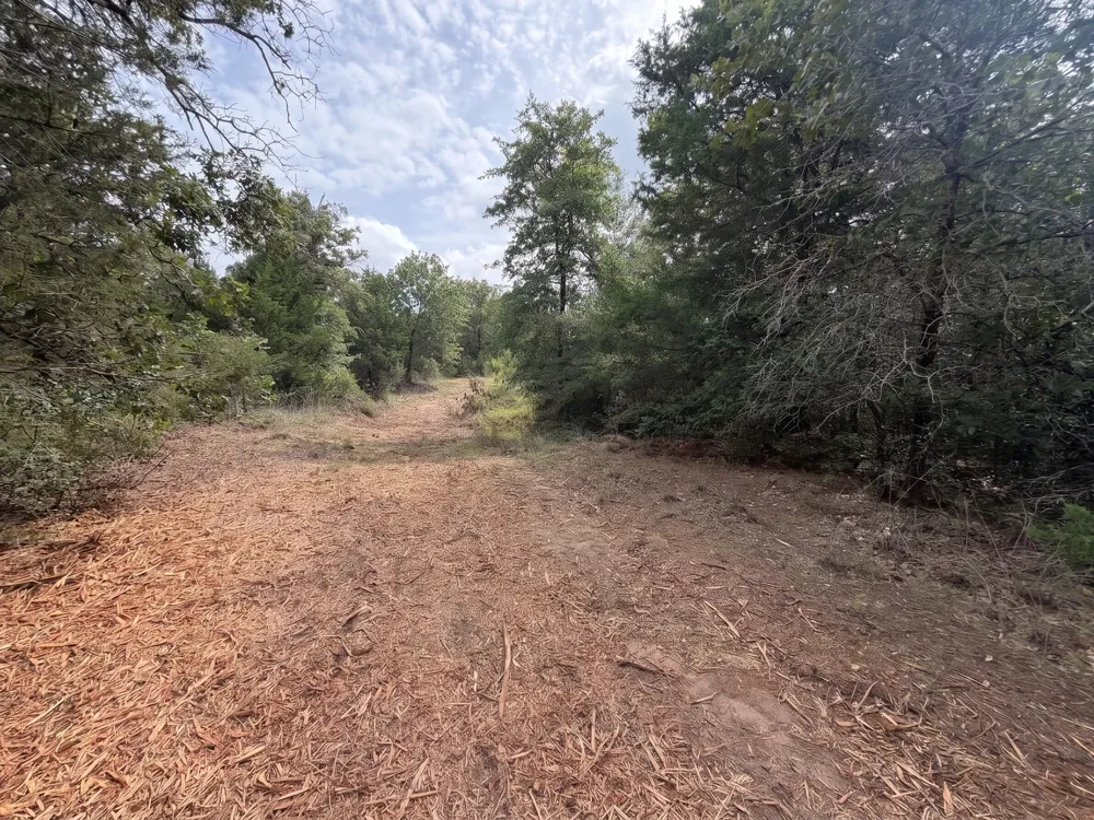 PR 3428 (2.528 Acres in Lin Luce Ranches #2) Milano, TX 76556