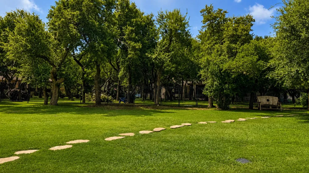 1007 Kieran Cove Georgetown, TX 78628