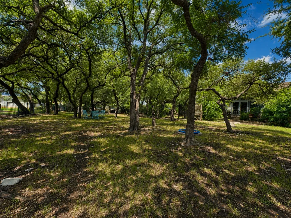 1007 Kieran Cove Georgetown, TX 78628