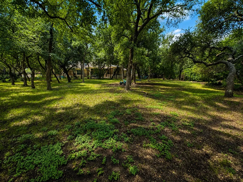 1007 Kieran Cove Georgetown, TX 78628