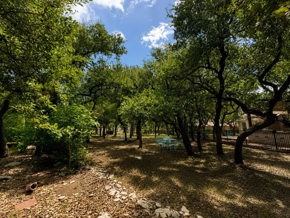 1007 Kieran Cove Georgetown, TX 78628