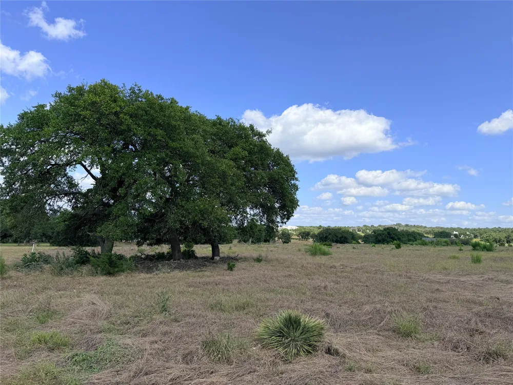 485 Inspiration Loop Fredericksburg, TX 78624