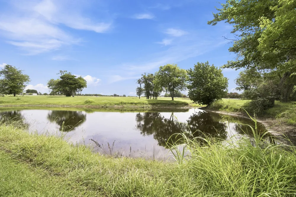 1255 Fm 667 Purdon, TX 76679