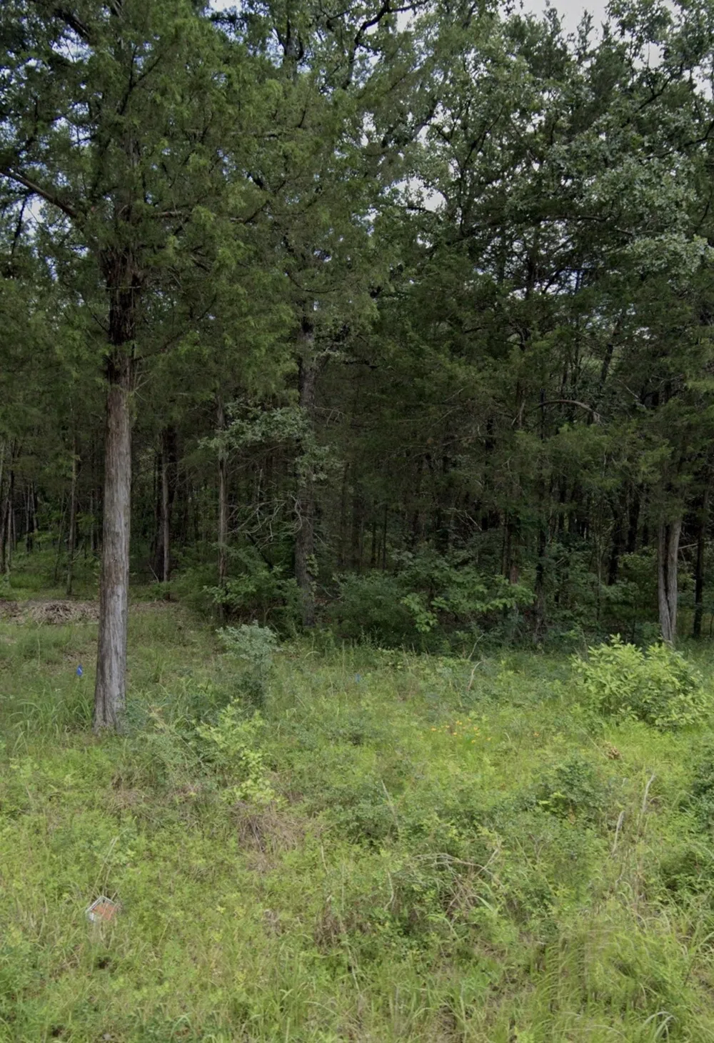 RS COUNTY ROAD 1180 Emory, TX 75440