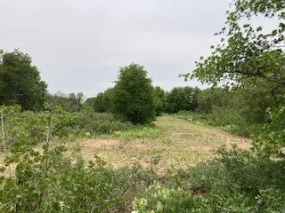 2520 PR 334