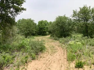 2520 PR 334 Hawley, TX 79525
