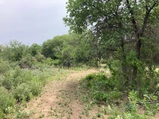2520 PR 334 Hawley, TX 79525