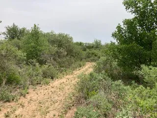 2520 PR 334 Hawley, TX 79525
