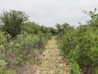 2520 PR 334 Hawley, TX 79525