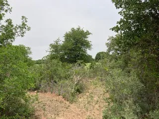 2520 PR 334 Hawley, TX 79525