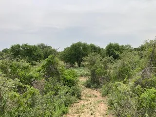 2520 PR 334 Hawley, TX 79525