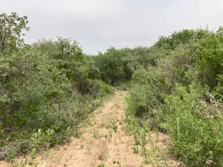 2520 PR 334 Hawley, TX 79525