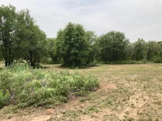 2520 PR 334 Hawley, TX 79525