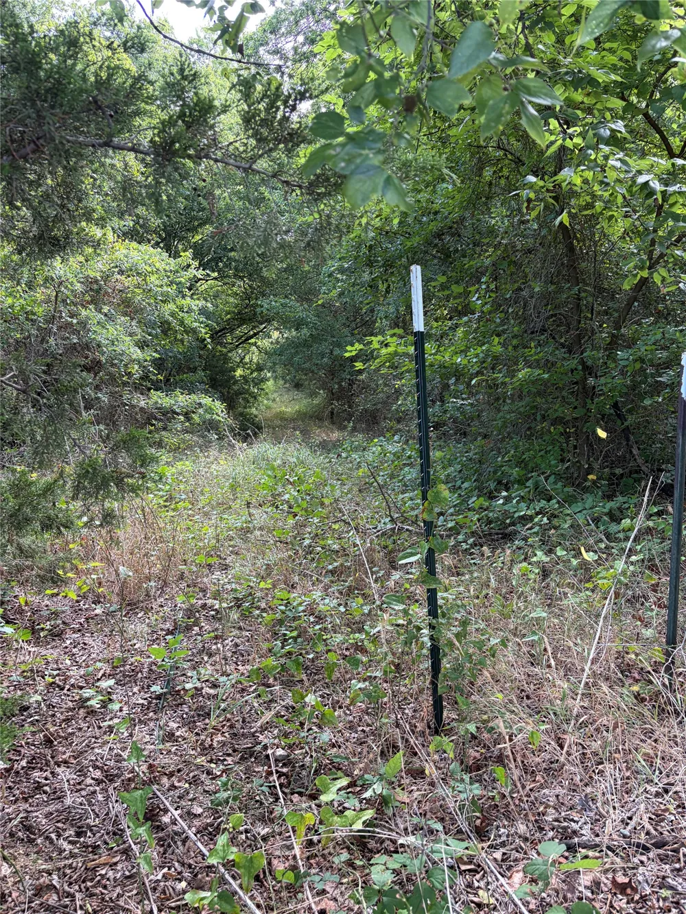 11601 County Road 103 Grandview, TX 76050