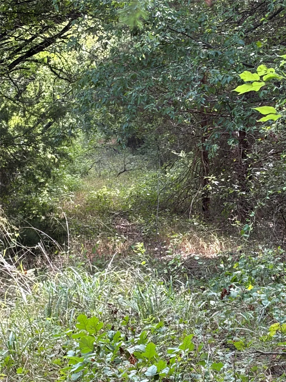 11601 County Road 103 Grandview, TX 76050