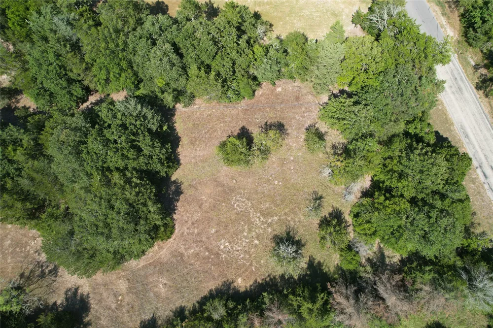 9373 Green Branch Loop Bryan, TX 77808