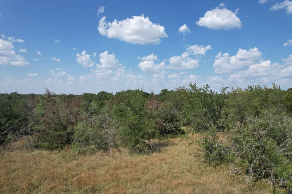 9373 Green Branch Loop Bryan, TX 77808