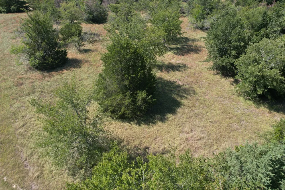 9373 Green Branch Loop Bryan, TX 77808