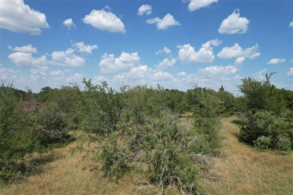 9373 Green Branch Loop Bryan, TX 77808