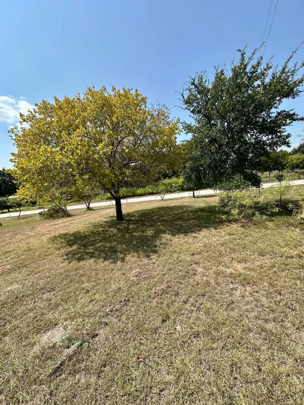 366 Saint Kitts Rd Comanche, TX 76442
