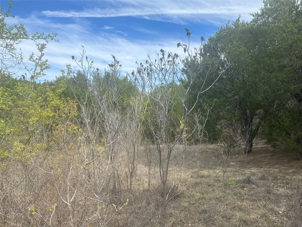 1241 Balcones Lane Graford, TX 76449