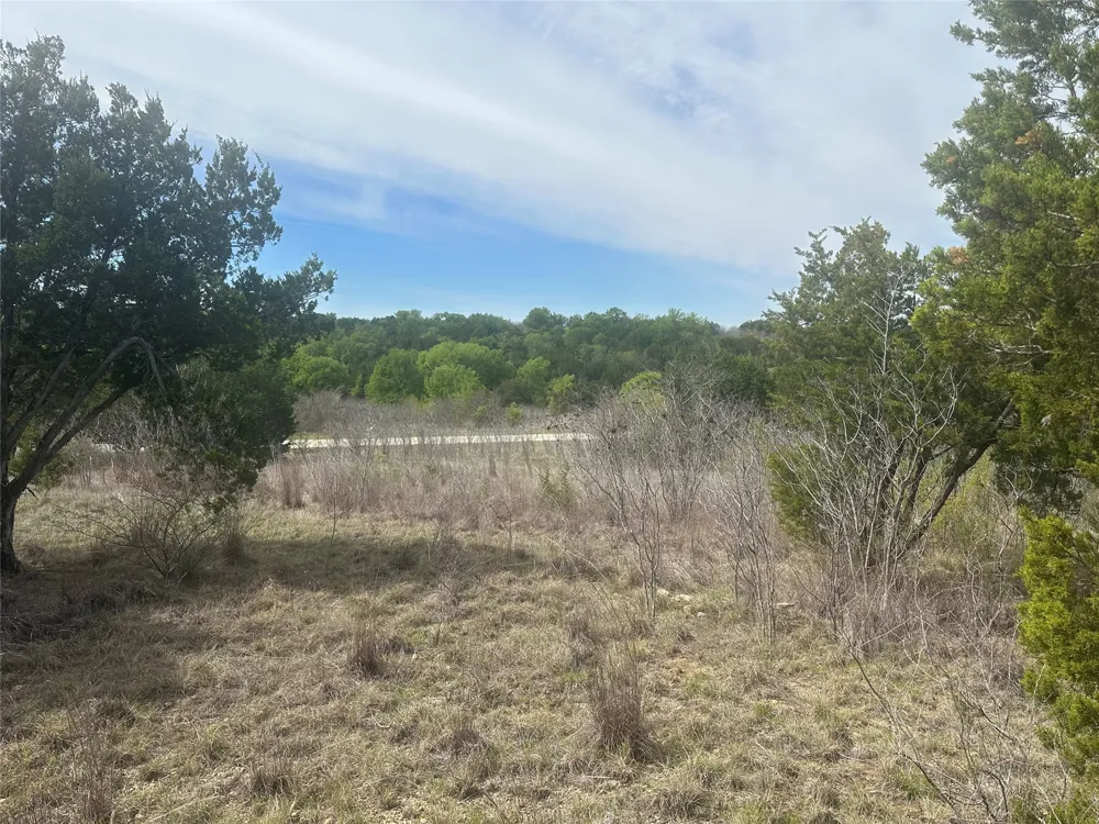 1241 Balcones Lane Graford, TX 76449