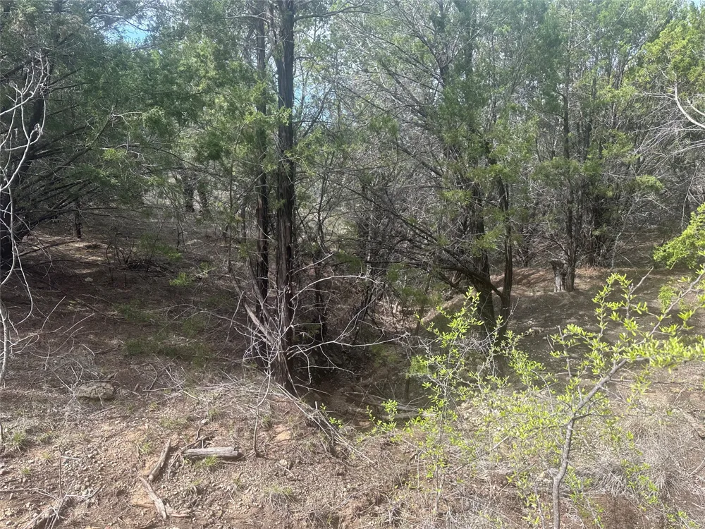 1241 Balcones Lane Graford, TX 76449