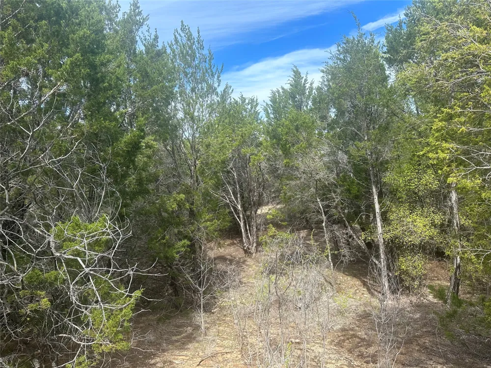 1241 Balcones Lane Graford, TX 76449