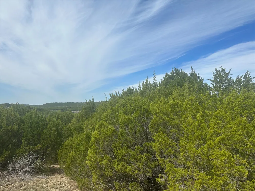 1241 Balcones Lane Graford, TX 76449